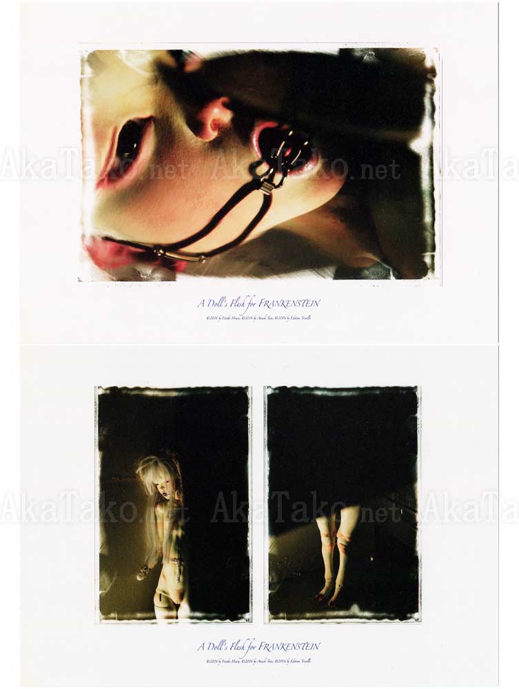 Etsuko Miura A Doll's Flesh for Frankenstein Cards Etsuko Miura A Doll's Flesh for Frankenstein Cards