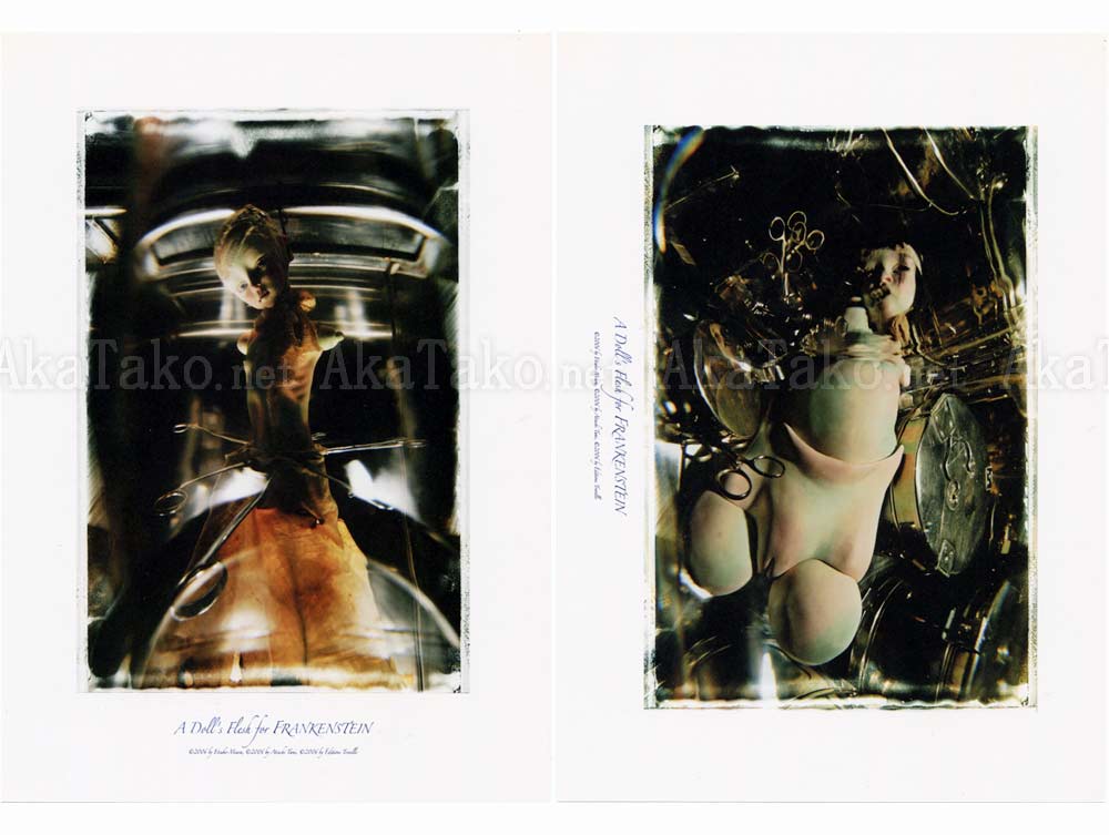 Etsuko Miura A Doll's Flesh for Frankenstein Cards Etsuko Miura A Doll's Flesh for Frankenstein Cards