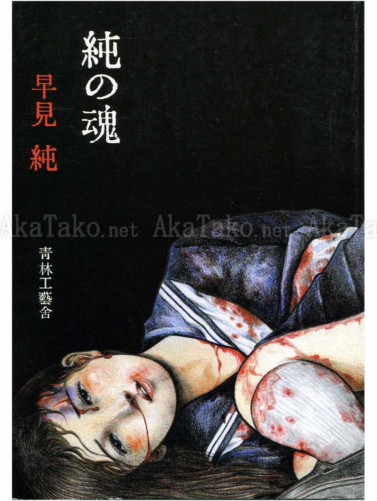 Jun Hayami Beauty Labyrinth of Razors SIGNED Jun Hayami Beauty Labyrinth of Razors SIGNED