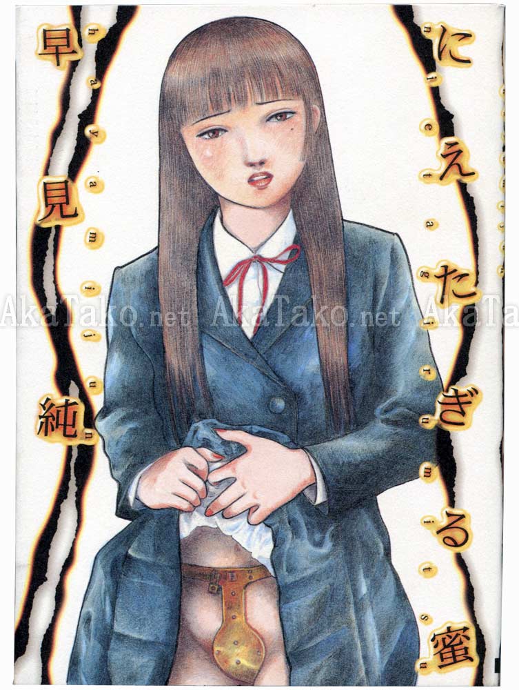 Jun Hayami Nietagiru Mitsu