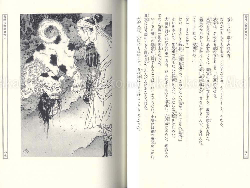 Takato Yamamoto Nansou Satomi Hakkenden SIGNED Takato Yamamoto Nansou Satomi Hakkenden SIGNED