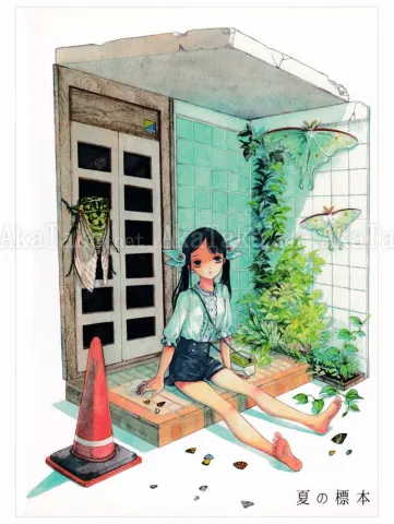 Em Nishizuka Summer Specimen - front cover