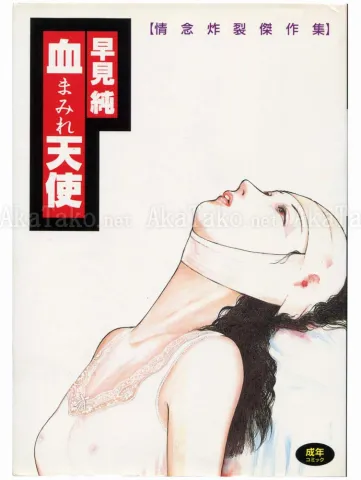 Jun Hayami Bloodstained Angel 1st Ed - front cover