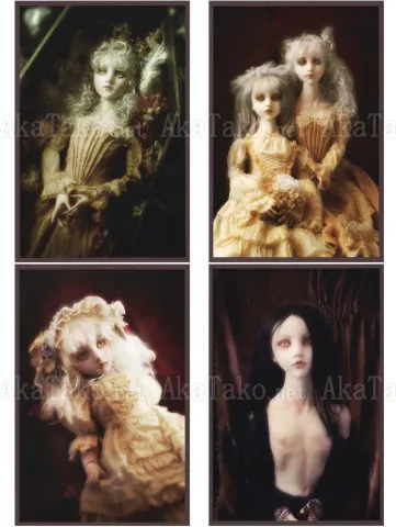 Mari Shimizu Postcard Set 10