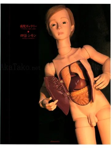 Simon Yotsuya Byouin Gallery - front cover