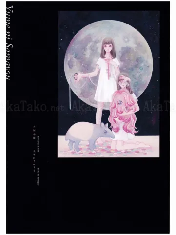 Yume ni Samayou Chika Tanikawa - front cover