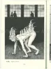 Asaji Muroi Woman Dog Picture Book - inside page