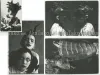 Il Calice di Alice - Patrick Ryan
