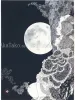 Takato Yamamoto Coffin of a Chimera - Vampire - Banquet