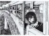 Daisuke Ichiba BADADOOR SIGNED - inside pages
