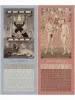 Eimi Suzuki 2025 Calendar - November and December