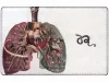 Eimi Suzuki Card Case - Option 2 Eve