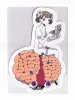 Em Nishizuka Pink Nurse Sticker