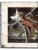 Etsuko Miura Reincarnation Special Edition - inside page