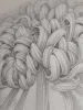 Fuco Ueda Original Drawing 2 - detail
