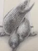 Fuco Ueda Moray and Girl Original Drawing - detail