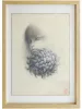 Fuco Ueda KIKU-KA 1 Original Drawing - framed