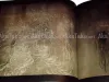 Fuyuko Matsui - Something Strange Immediately Broken Off