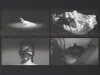 Fuyuko Matsui Regeneration of a Breached Thought Film Stills