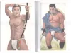 Gekko Hayashi The Delight of Boys Love & Masculinity - inside pages