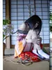Hajime Kinoko Hanafuda Kinbaku - December