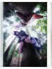 Hajime Kinoko Ichigo Ichie SIGNED - inside page