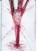 Hajime Kinoko Red SIGNED - inside page