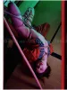 Hajime Kinoko Wayou Kinbaku Miyabi SIGNED - inside page
