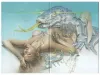 Hajime Sorayama Innen Zine - inside pages