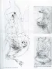 Hans Bellmer Le Principe de Perversion - inside page