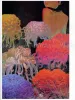 Hi-Fructose Vol. 31 inside page - Fuco Ueda