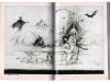 Imaginations from Salome - inside pages
