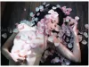 Kanako Tama Seven Stars Falling on Skin SIGNED - inside pages