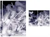 Kazuki Takamatsu We Are Free to Kill SIGNED- inside page