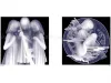 Kazuki Takamatsu We Are Free to Kill SIGNED- inside page