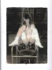 Kenichi Murata Princess of Desire - inside page