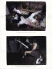 Kenichi Murata 11 Sleeping Princesses Postcards