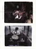 Kenichi Murata 11 Sleeping Princesses Postcards