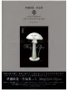 Koichi Iyoda Magnum Opus SIGNED - slip case front cover