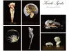 Koichi Iyoda Postcard Print Set - six postcards