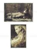 Koitsukihime Misericordia Postcard Set