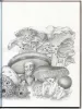 Kyotaro Kinoko Alice in Mushroom Land - inside page