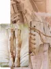Lhiannan:Shee medical corset tights brown