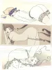 Makiko Sugawa Postcard Set Long