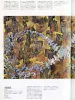 Makoto Aida Lonely Planet - inside page