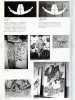 Makoto Aida Lonely Planet - inside page