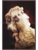 Mari Shimizu Postcard Set 10 - card 3