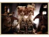 Mari Shimizu Postcard Set 15 - card 2