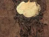 Takato Yamamoto Melancholia detail