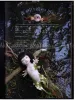 Midori Hayashi Night Comers SIGNED - inside page